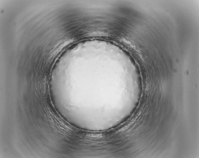 X0000087021313200705141846