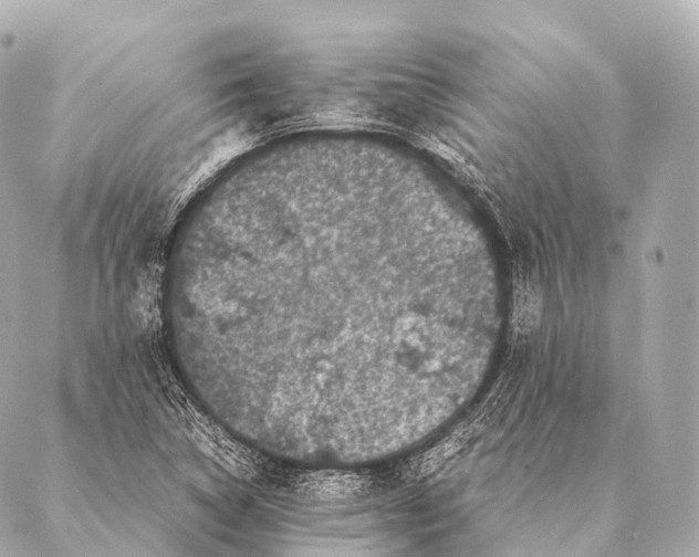 X0000087021314200705141846