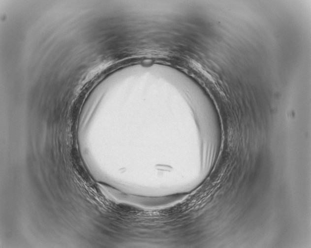 X0000087021315200705141846