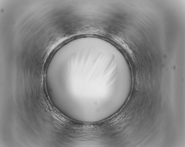 X0000087021316200705141846