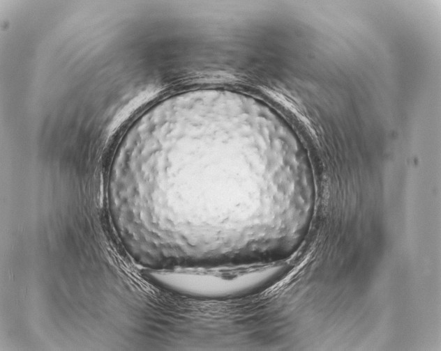 X0000087021317200705141846