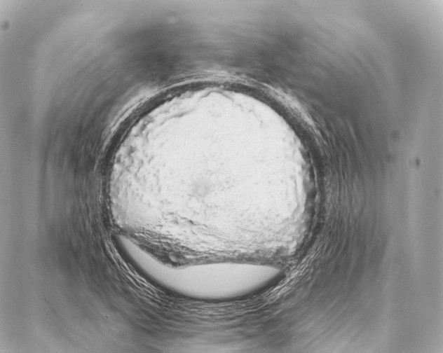 X0000087021318200705141846