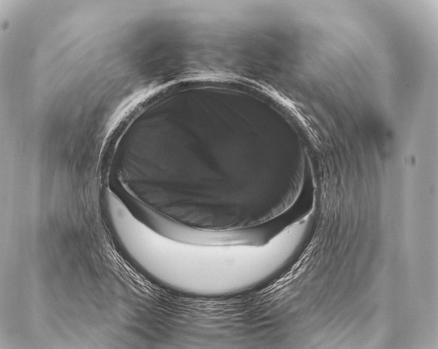 X0000087021319200705141846