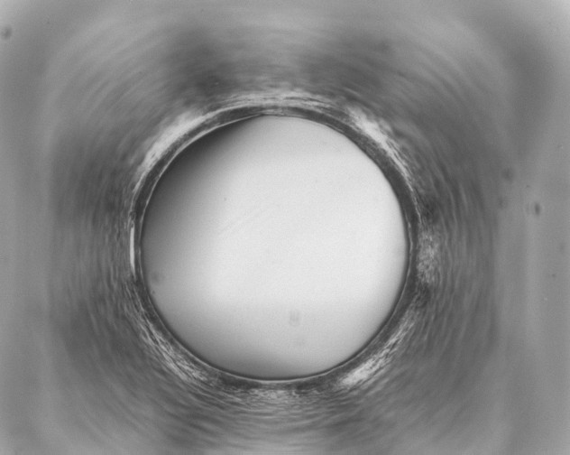 X0000087021320200705141846