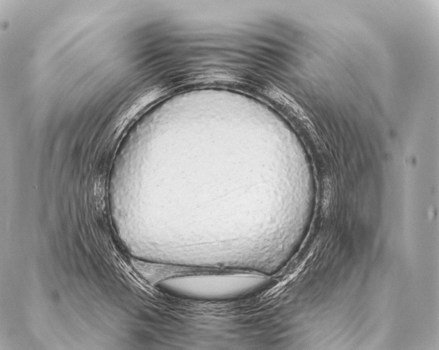 X0000087021321200705141846