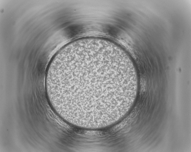 X0000087021322200705141846