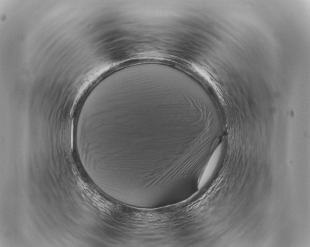 X0000087021323200705141846