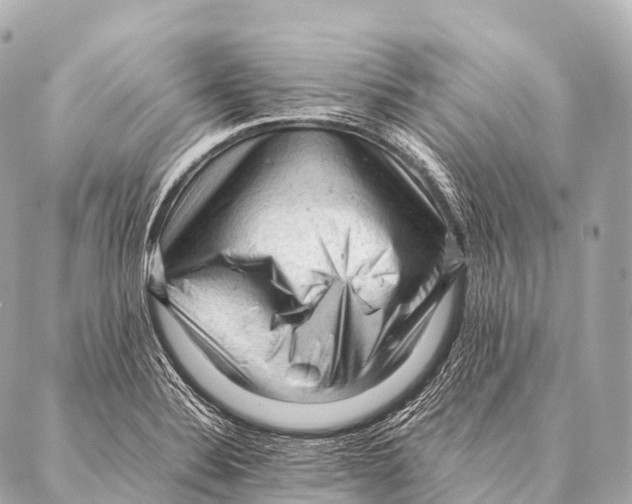 X0000087021324200705141846