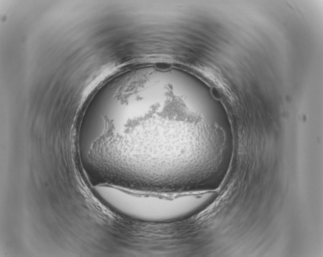 X0000087021325200705141846