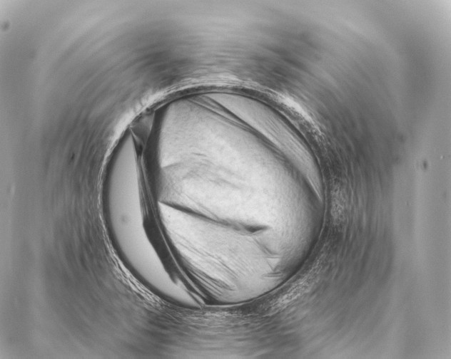 X0000087021326200705141847