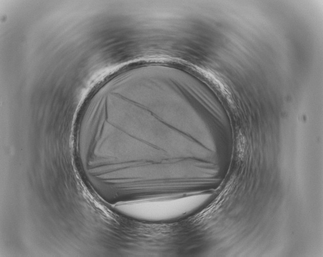 X0000087021327200705141847