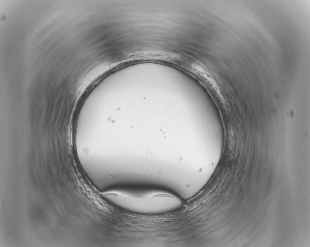 X0000087021328200705141847