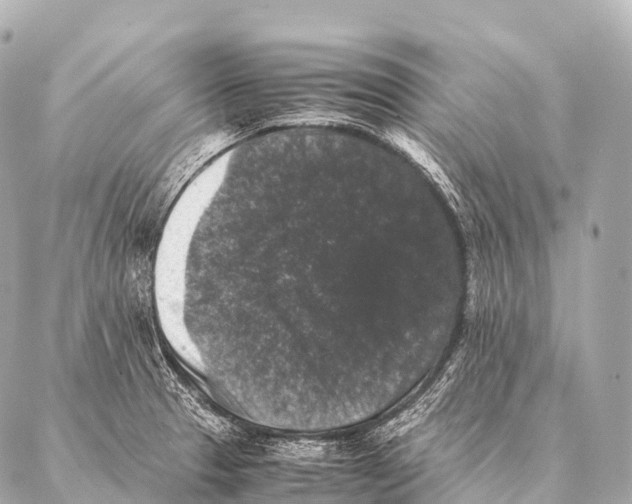 X0000087021329200705141847