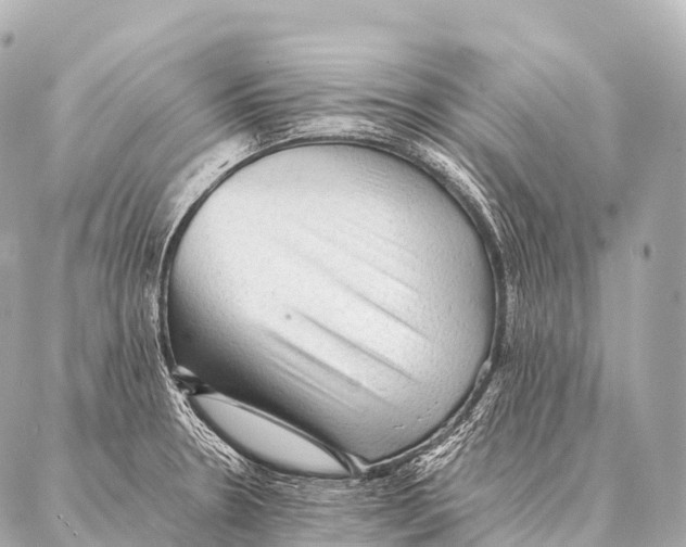 X0000087021330200705141847