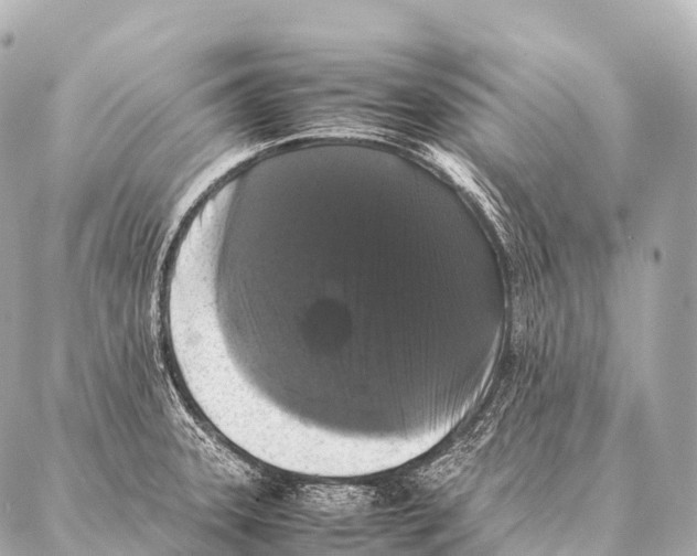 X0000087021331200705141847