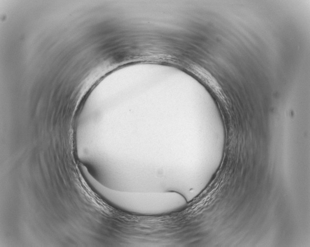 X0000087021332200705141847