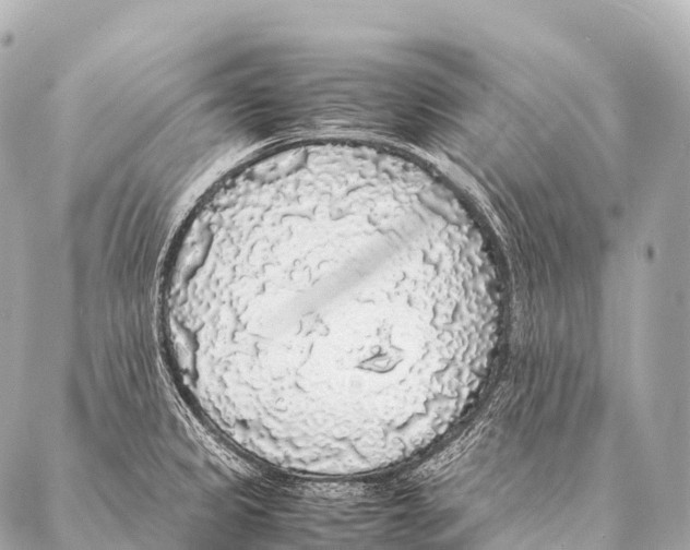 X0000087021333200705141847