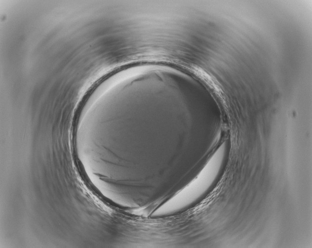 X0000087021334200705141847