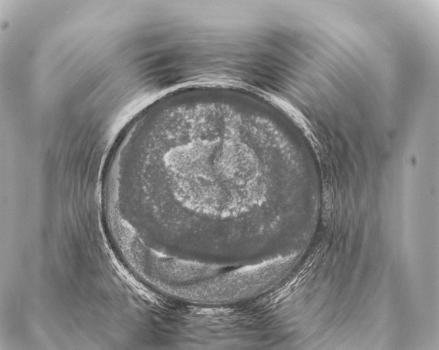 X0000087021335200705141847