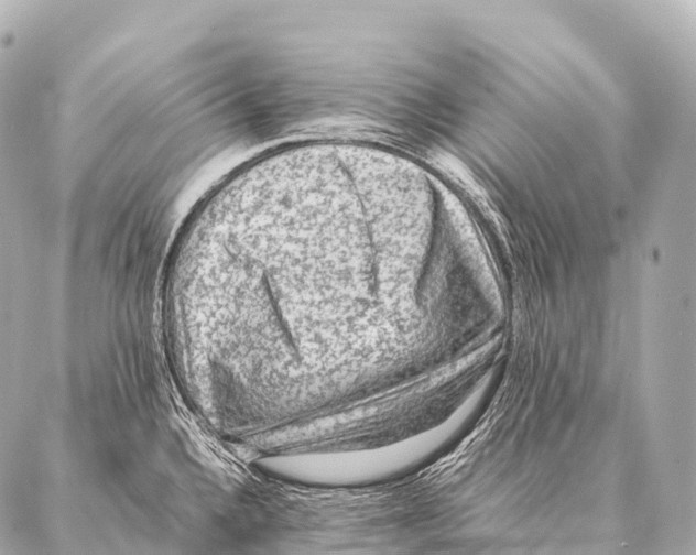 X0000087021336200705141847