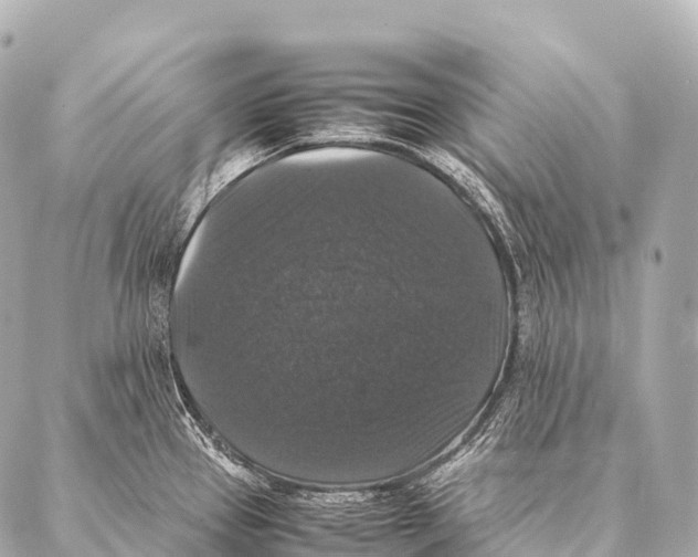 X0000087021337200705141847