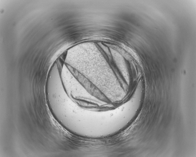 X0000087021338200705141847