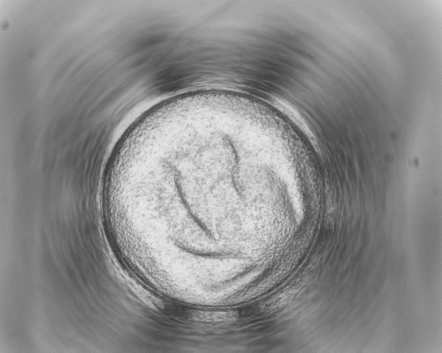 X0000087021339200705141847