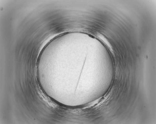 X0000087021340200705141847