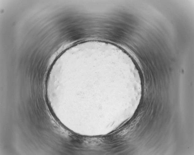 X0000087021341200705141847