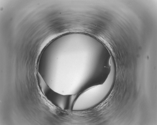 X0000087021342200705141847