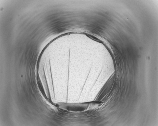 X0000087021343200705141847