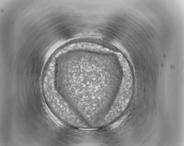 X0000087021344200705141847