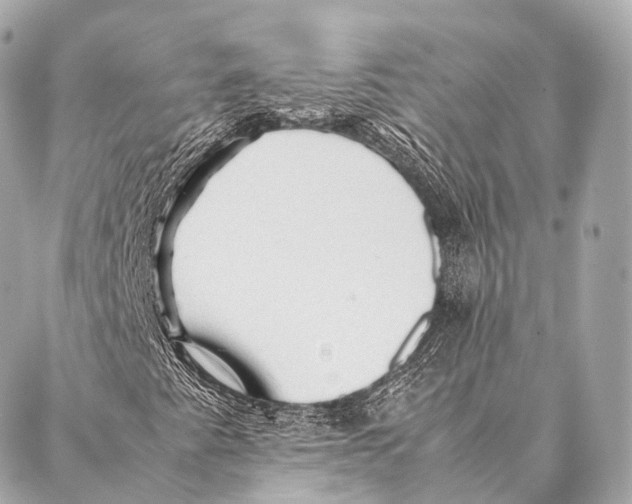 X0000087021345200705141846