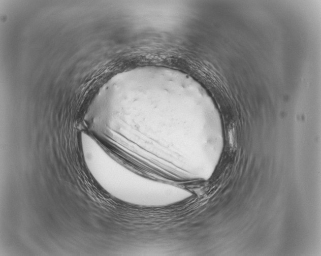 X0000087021347200705141846