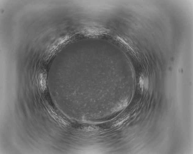 X0000087021348200705141846