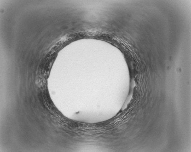 X0000087021349200705141846