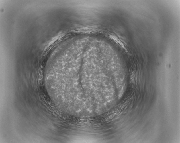 X0000087021350200705141846