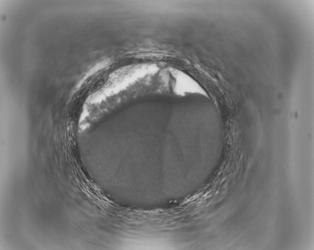 X0000087021351200705141846