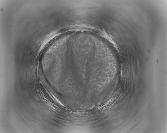 X0000087021352200705141846