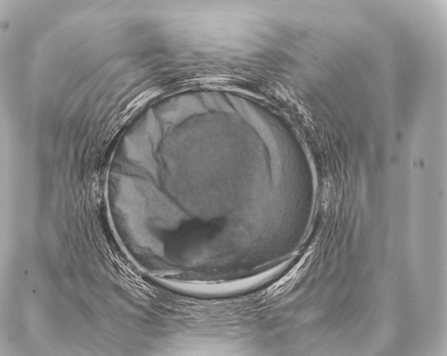 X0000087021353200705141846