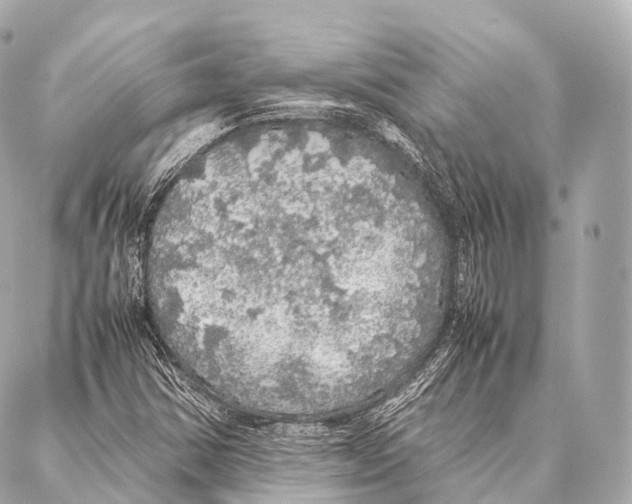 X0000087021354200705141846