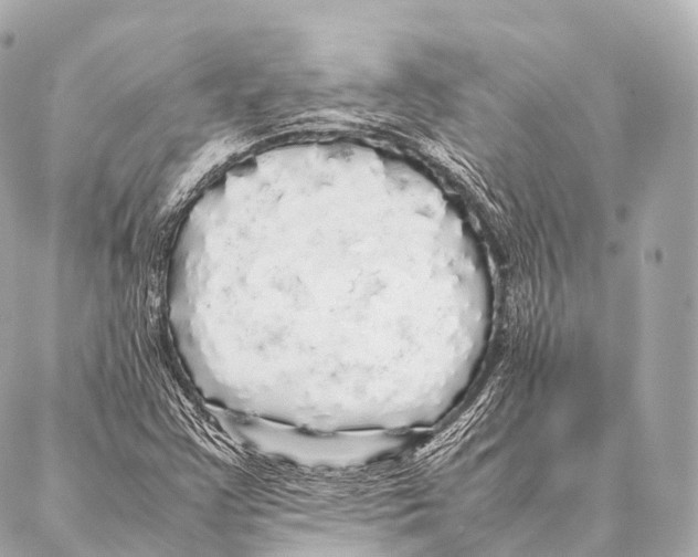 X0000087021355200705141846