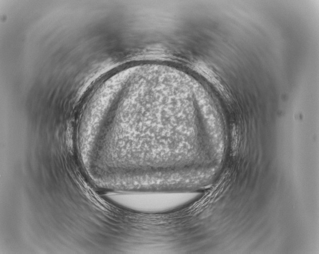 X0000087021356200705141846