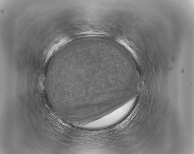 X0000087021357200705141846