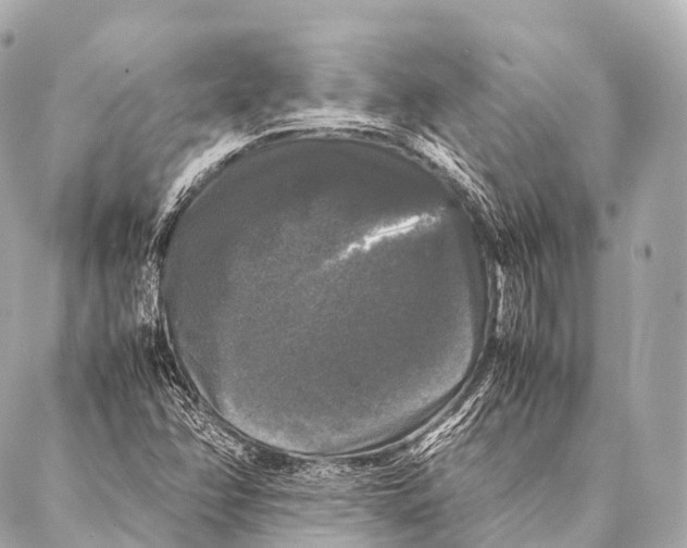 X0000087021358200705141846