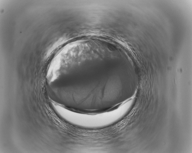 X0000087021359200705141846