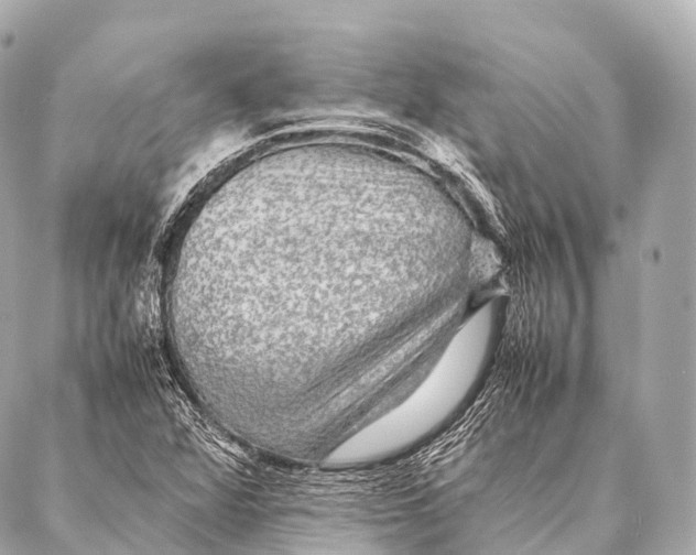 X0000087021360200705141846