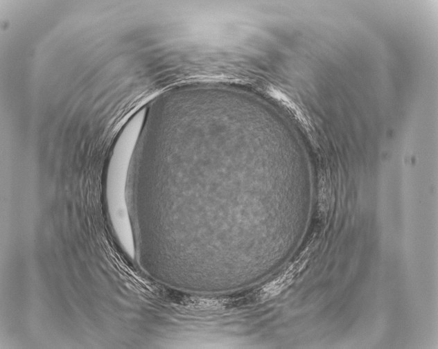 X0000087021361200705141846