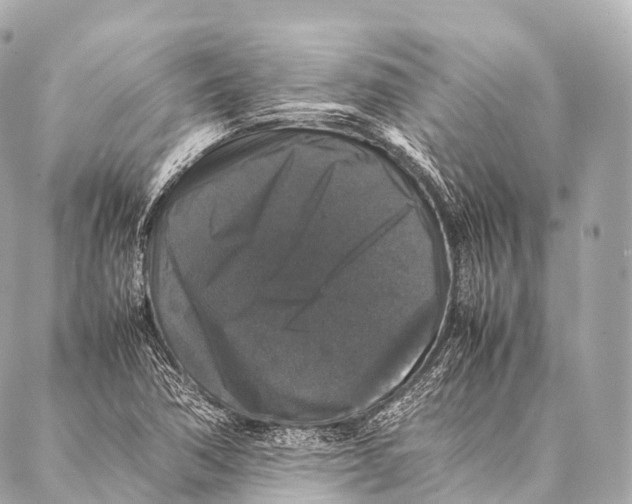 X0000087021362200705141846