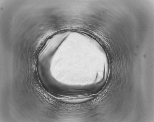 X0000087021363200705141846